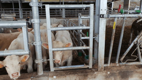 Matériel d'élevage - Barrière herbage - Barrière  4 lisses