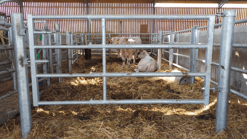 Matériel d'élevage - Barrière herbage - Barrière  4 lisses