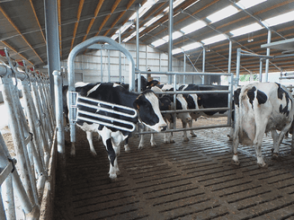 Matériel d'élevage - Barrière herbage - Barrière  4 lisses