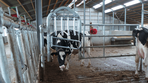 Matériel d'élevage - Barrière herbage - Barrière  4 lisses