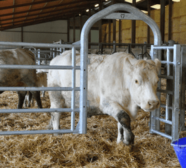 Matériel d'élevage - Barrière herbage - Barrière 5 lisses