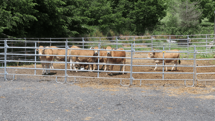 Matériel d'élevage - Cage, parc et couloir de contention - Panel de contention JOURDAIN