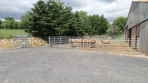 Matériel d'élevage - Cage, parc et couloir de contention - Panel de contention JOURDAIN