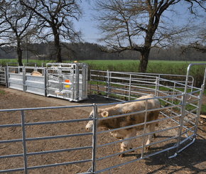 Matériel d'élevage - Cage, parc et couloir de contention - Panel de contention JOURDAIN