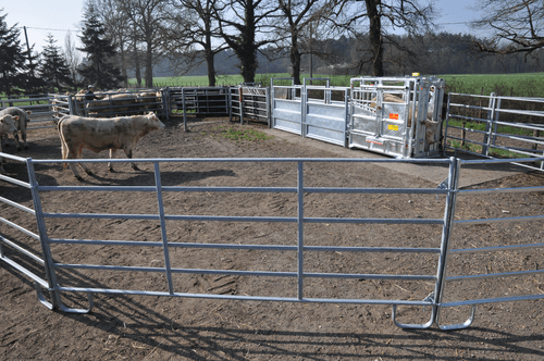 Matériel d'élevage - Cage, parc et couloir de contention - Panel de contention JOURDAIN