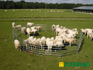 Matériel d'élevage - Cage, parc et couloir de contention - Panel de contention JOURDAIN