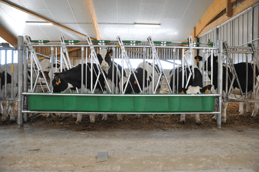 Matériel d'élevage - Cornadis - Cornadis SAFETY veau