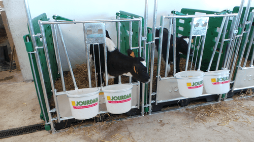 Matériel d'élevage - Case et logette veau - Cases à veaux JOURDAIN