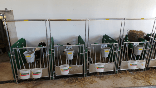 Matériel d'élevage - Case et logette veau - Cases à veaux JOURDAIN
