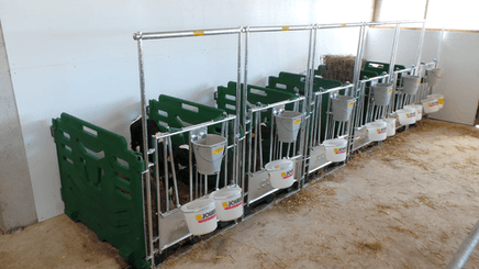 Matériel d'élevage - Case et logette veau - Cases à veaux JOURDAIN