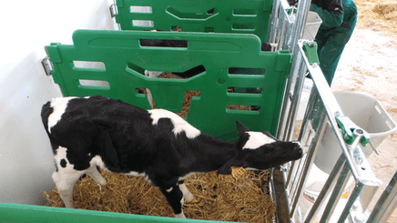 Matériel d'élevage - Case et logette veau - Cases à veaux JOURDAIN