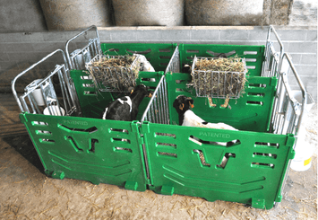 Matériel d'élevage - Case et logette veau - Cases à veaux JOURDAIN