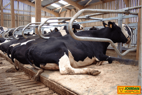 Matériel d'élevage - Logette et libre service - Logettes à veaux JOURDAIN