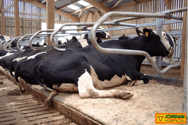 Matériel d'élevage - Logette et libre service - Logettes à veaux JOURDAIN