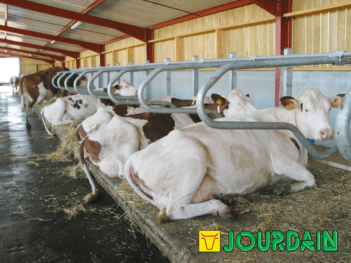 Matériel d'élevage - Logette et libre service - Logettes à veaux JOURDAIN