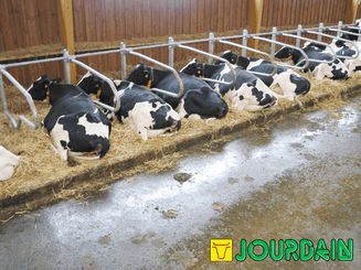 Matériel d'élevage - Logette et libre service - Logettes à veaux JOURDAIN