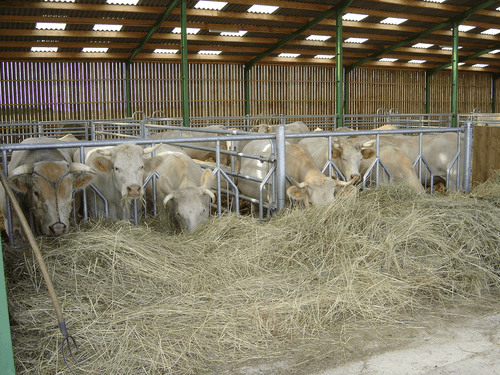 Matériel d'élevage - Logette et libre service - Panneaux libre service JOURDAIN