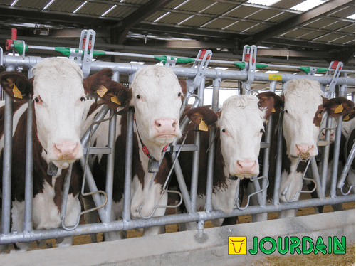 Matériel d'élevage - Cornadis - Cornadis SAFETY IV