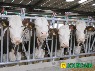 Matériel d'élevage - Cornadis - Cornadis SAFETY IV