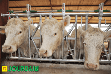 Matériel d'élevage - Cornadis - Cornadis SAFETY IV