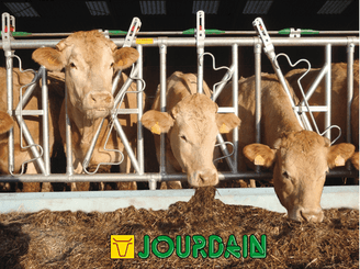 Matériel d'élevage - Cornadis - Cornadis SAFETY IV