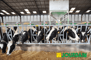 Matériel d'élevage - Cornadis - Cornadis SAFETY IV