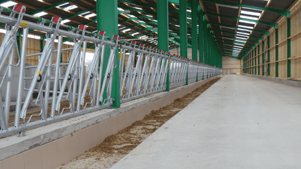 Matériel d'élevage - Cornadis - Cornadis SAFETY IV