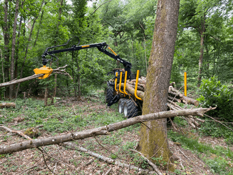 Matériel forestier - Remorques forestières - Remorque forestière