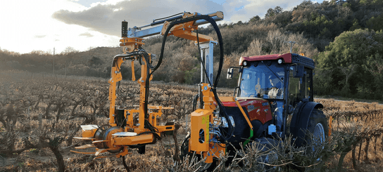 Entretien - Taille viti-arbo - Voûte de taille mécanique de précision