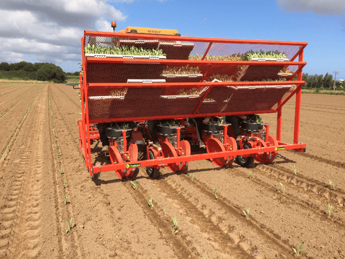 Semis - Planteuses - Planteuse repiqueuse