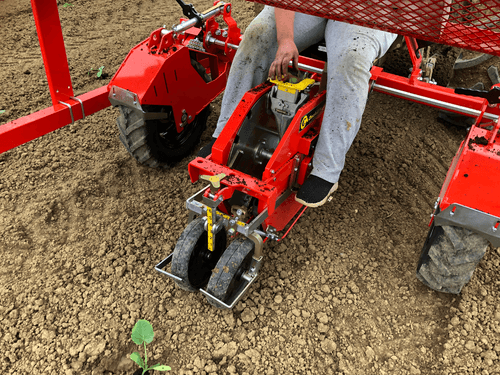 Semis - Planteuses - Planteuse repiqueuse