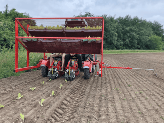 Semis - Planteuses - Planteuse repiqueuse