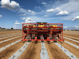 Semis - Planteuses - Planteuse repiqueuse