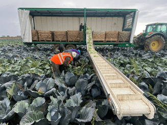 Transport - Remorques légumières - Remorques légumière DELECROIX