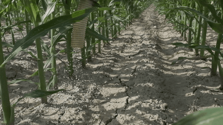 Fertilisation, épandage - Distributeurs d'engrais - Distributeur d'engrais inter-rangs SPANDI