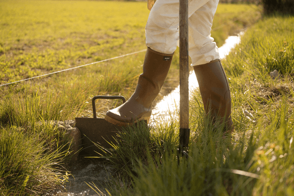 Equipement et protection individuelle - Bottes - Bottes CHAMBORD PRO 2