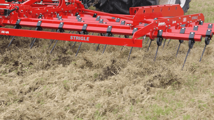 Entretien - Herse étrille - Herse étrille polyvalente TOP STRIGLE