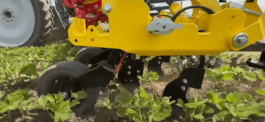 Entretien - Bineuses - Bineuse de précision HM et HS