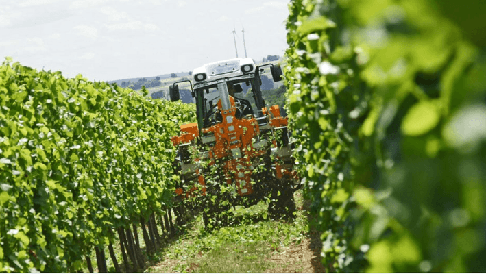 Entretien - Taille viti-arbo - Effeuilleuse EB490 BINGER