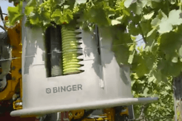 Entretien - Taille viti-arbo - Effeuilleuse EB490 BINGER