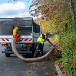 Matériel de ferme - Divers ferme, outillage - Aspirateur de feuilles WINDY